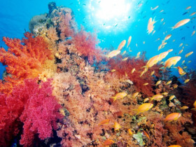 Holidays in Egypt, discover